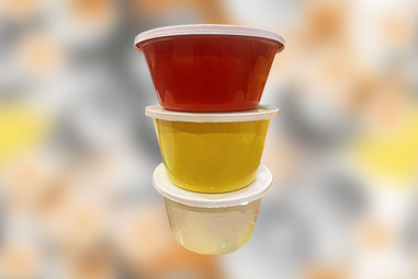 Plastic Food Container